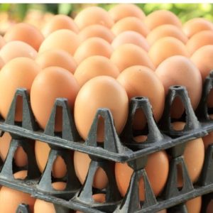 Milk and Egg Combo Pack
